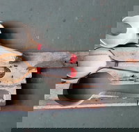 Phoenix Creations - Accommodation ACT