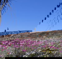 Talgomine Reserve - Accommodation ACT