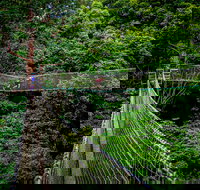 Thunderbird Park  - Tamborine Mountain Gold Coast Region - Accommodation ACT