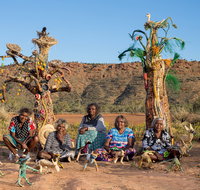Tjanpi Desert Weavers - Accommodation ACT