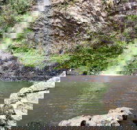 Twin Falls Circuit Springbrook National Park - Accommodation ACT