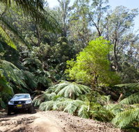 Wadbilliga Road drive - Accommodation ACT