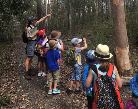 Walkabout Creek Discovery Centre - Accommodation ACT 1