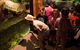 Walkabout Creek Discovery Centre - thumb 2