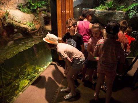 Walkabout Creek Discovery Centre - Accommodation ACT 2