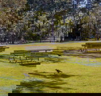 Wombeyan picnic area - Accommodation ACT