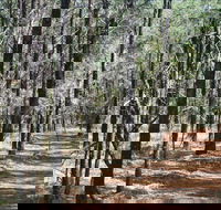 Yana-y Warruwi Walking Track - Accommodation ACT