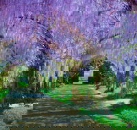Alowyn Gardens and Nursery - Accommodation ACT