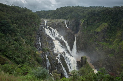 Barron Falls Lookout Track, Barron Gorge National Park - Accommodation ACT 0