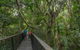 Barron Falls Lookout Track, Barron Gorge National Park - thumb 2
