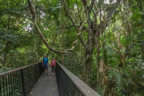 Barron Falls Lookout Track, Barron Gorge National Park - Accommodation ACT 2