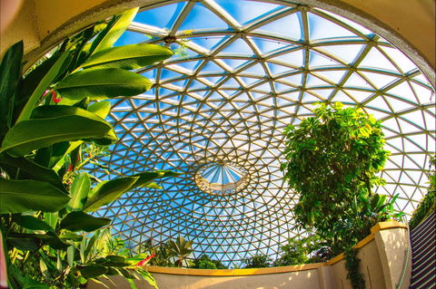 Brisbane Botanic Gardens Mount Coot-tha - Accommodation ACT 0