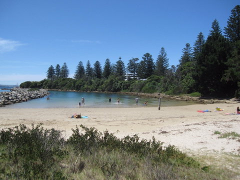 Bruce Steer Pool - Accommodation ACT 1