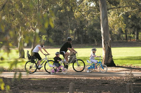 Coast To Vines Rail Trail - Accommodation ACT 1