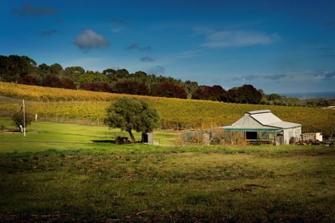 Coast To Vines Rail Trail - Accommodation ACT 2