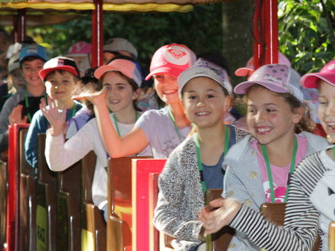 Currumbin Wildlife Sanctuary - Accommodation ACT 1