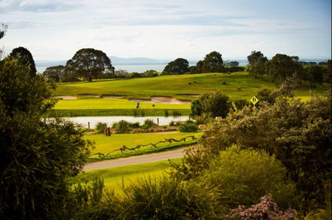 Curlewis Golf Club & The Range At Curlewis The Bellarine - Accommodation ACT 0