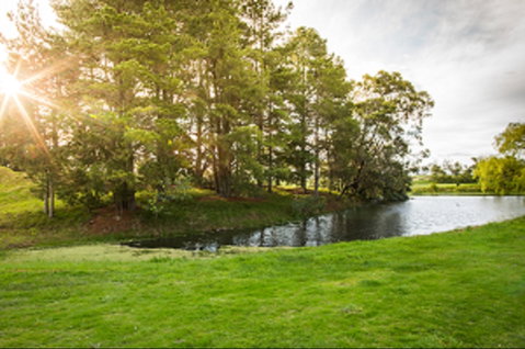 Curlewis Golf Club & The Range At Curlewis The Bellarine - Accommodation ACT 1