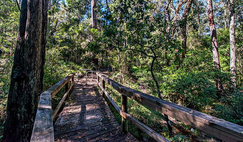 Dawson River Walking Track - Accommodation ACT 0