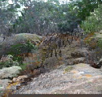 Dergholm State Park - Accommodation ACT