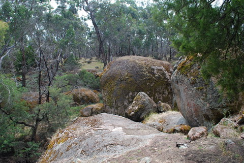 Dergholm State Park - Accommodation ACT 0