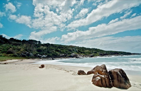 Fishermans Bay Foreshore - Accommodation ACT 0
