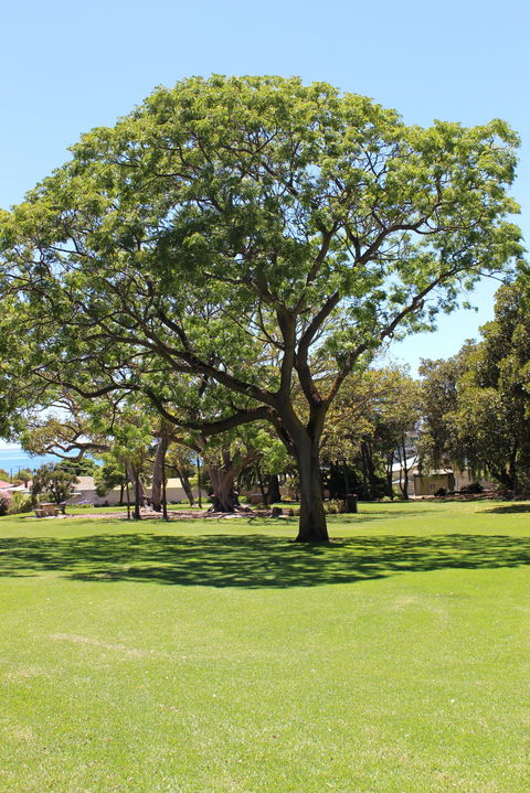 Flinders Park Playground - Accommodation ACT 0