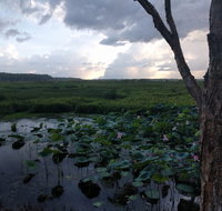 Fogg Dam Conservation Reserve - Accommodation ACT