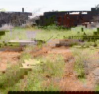 Ghans Bore No7 Govt Bore - Accommodation ACT