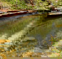 Hominy Creek Walking Track - Accommodation ACT