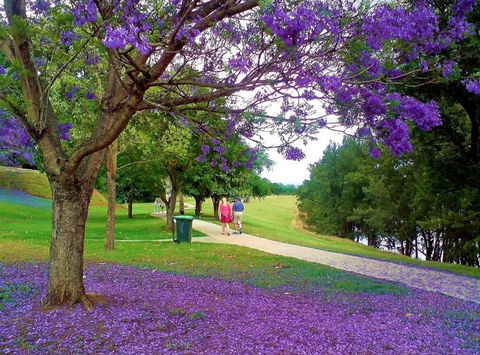 Howe Park - Accommodation ACT 0