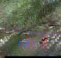 Kerewong State Forest - Accommodation ACT