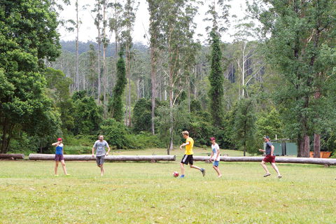 Kerewong State Forest - Accommodation ACT 1