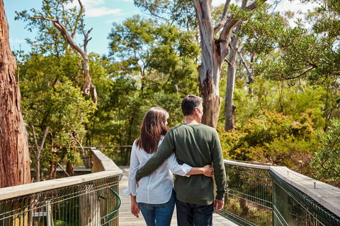 Koala Conservation Reserve - Accommodation ACT 2