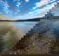 Lake Innes Nature Reserve - Accommodation ACT