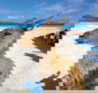 Lucky Bay - Accommodation ACT