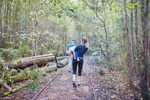 Lyrebird Circuit Walk - Accommodation ACT 1