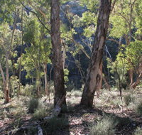 Mount Gray walking track - Accommodation ACT