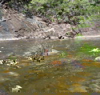 Mount Boss State Forest - Accommodation ACT