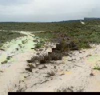 Ngarkat Conservation Park - Accommodation ACT