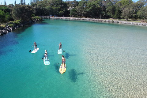 Paddleboard At Back Creek South West Rocks - Accommodation ACT 0