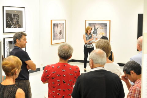 Pine Rivers Art Gallery - Accommodation ACT 1