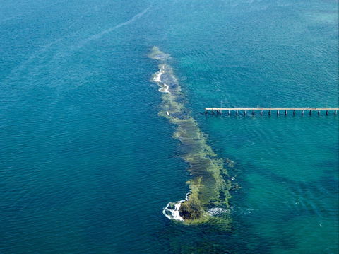 Port Noarlunga Reef Sanctuary Zone - Encounter Marine Park - Accommodation ACT 0