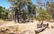 Salvator Rosa, Carnarvon National Park - thumb 0