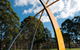 Sculpture Walk At WSU Campbelltown Campus - thumb 1