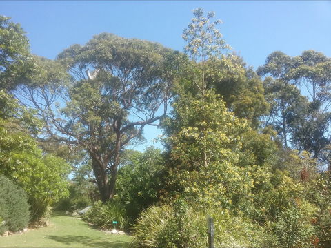 Shoalhaven Heads Native Botanic Garden - Accommodation ACT 1