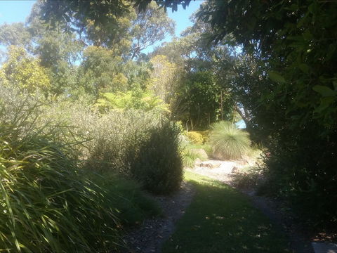Shoalhaven Heads Native Botanic Garden - Accommodation ACT 2