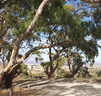 Spring Gully Conservation Park - Accommodation ACT