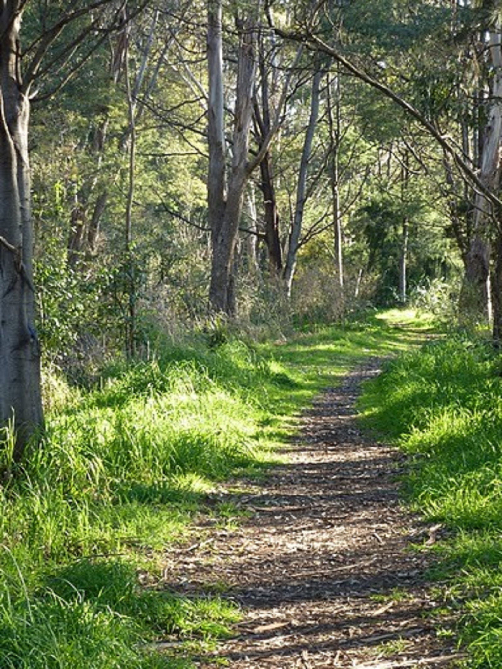 The North West TAS Accommodation ACT