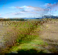 Tarago Truffles - Accommodation ACT